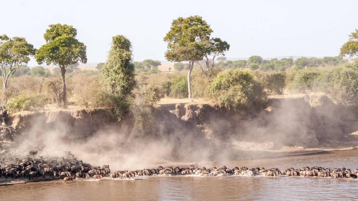 Tanzania en tres parques y varias aldeas: cómo se arma un safari por el norte del país