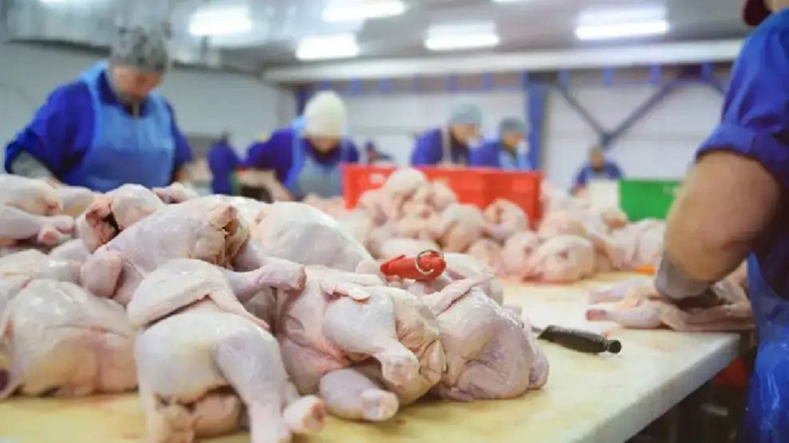 Por primera vez, el kilo de pollo le saca una cabeza al de vaca en la mesa de los argentinos