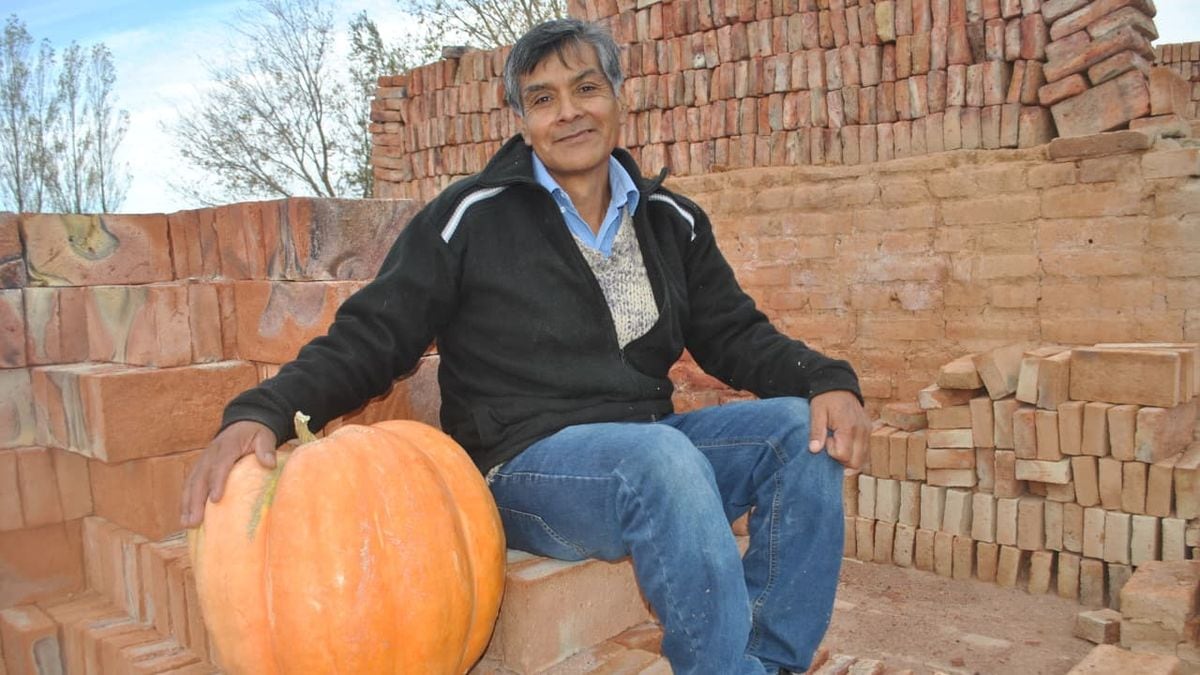 Mariano Moreno vuelve a apostarle al zapallo gigante: la segunda edición del concurso que ya tiene un récord de 23 kilos