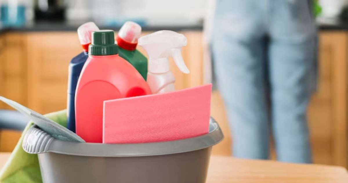 ARCA habilita un sistema que liquida automáticamente los sueldos del personal doméstico y deja al empleador la última palabra