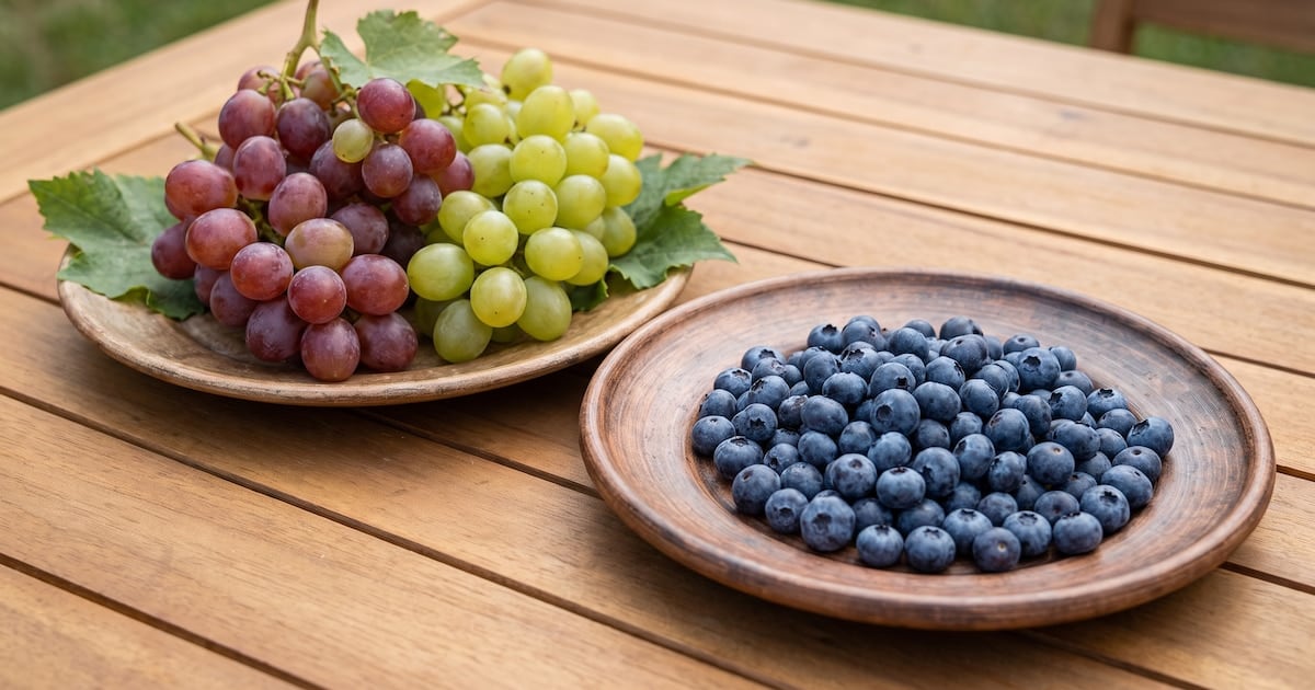 Arándanos o uvas: dos frutas, dos velocidades para el azúcar en sangre y por qué la fibra marca la diferencia