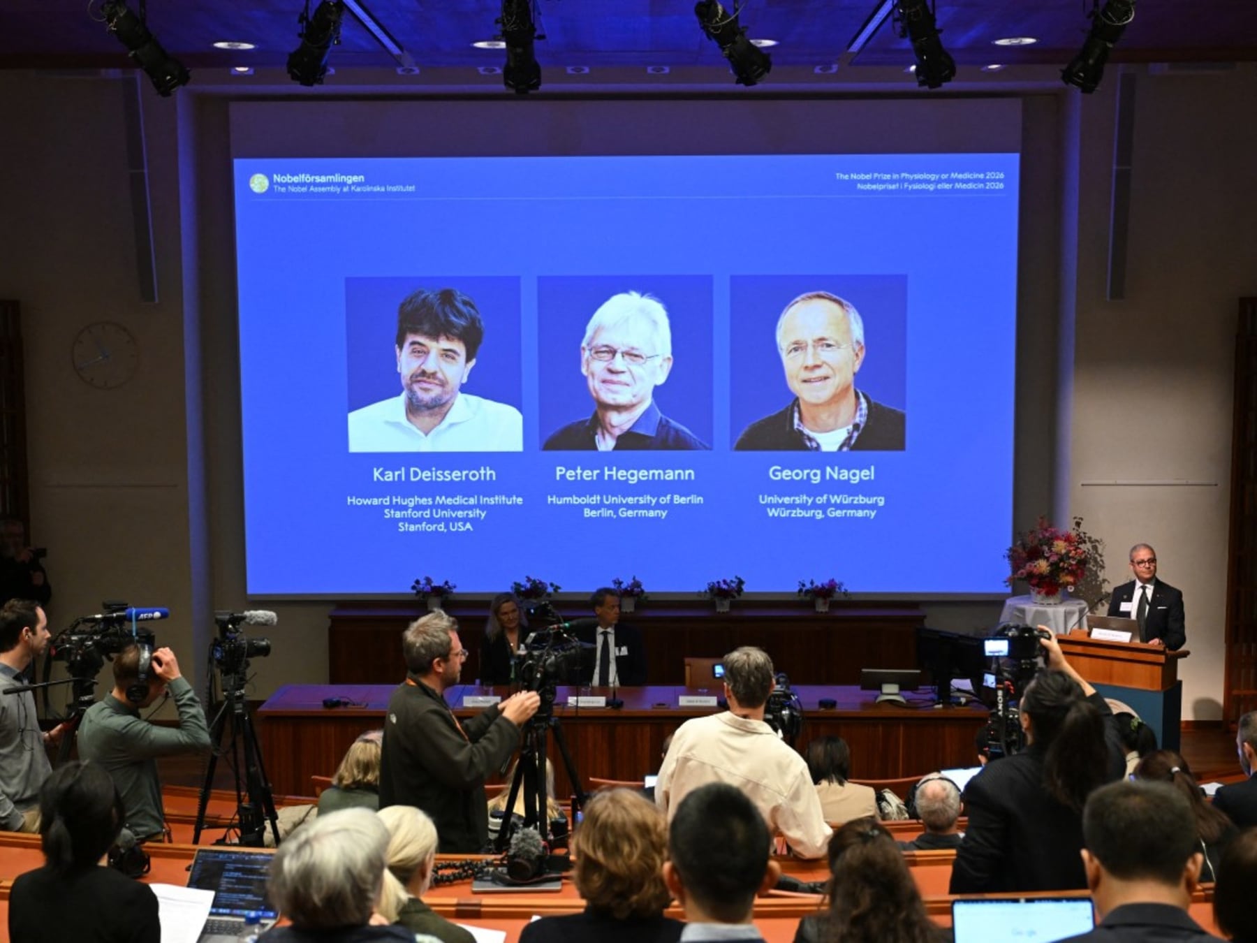Una luz al interruptor del cerebro: qué cambia con el Nobel de Medicina