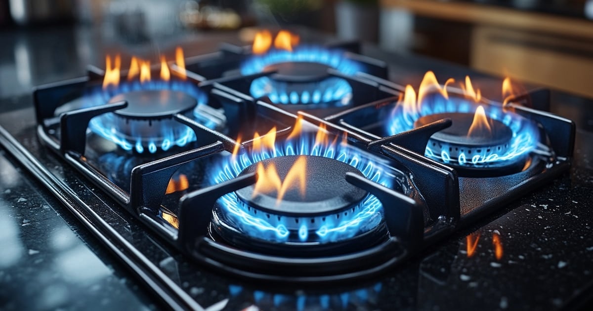 El Gobierno recorta el subsidio al gas y deja fuera a 3,35 millones de hogares